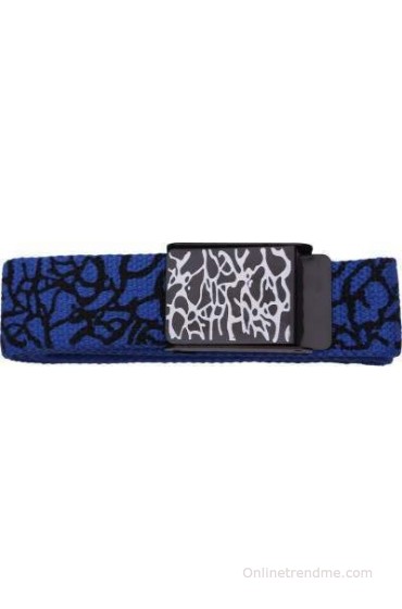 Stylehoops Boys, Men, Girls, Women Casual Blue Artificial Leather Belt(Blue)